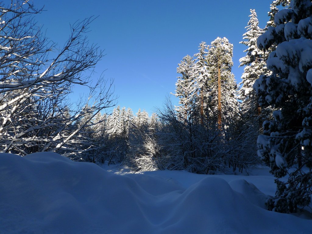 Christmas2010 173.JPG